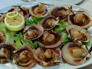 Restaurante Pizzeria A Darsena