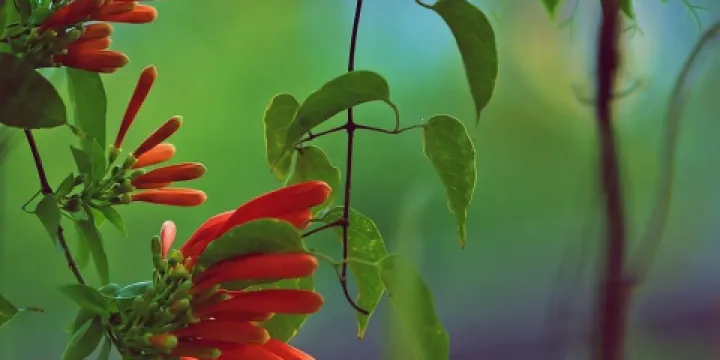 Kareela Golf & Social Club