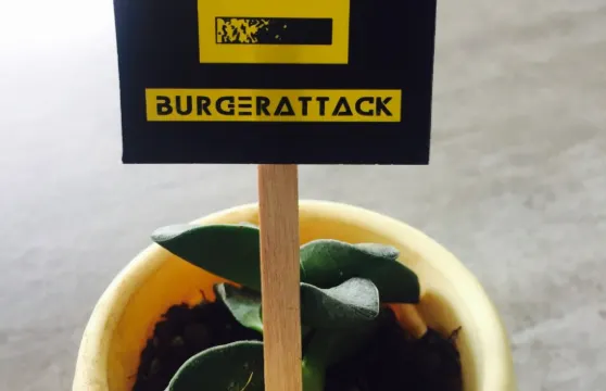 Burger Attack