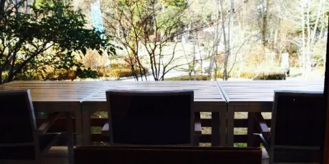 Sobadokoro Tochinoki