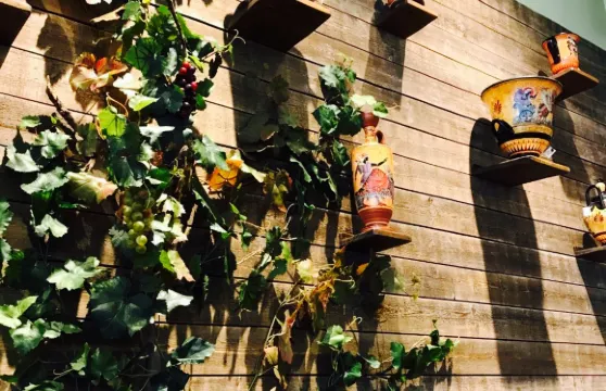 Grekiska Kolgrillsbaren