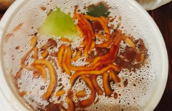 Bendigo Dumpling House