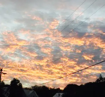 The River Restaurant