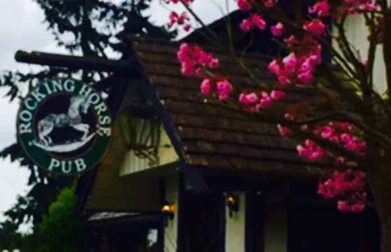 Rocking Horse Pub Ltd