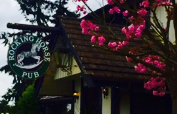 Rocking Horse Pub Ltd