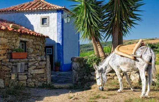 阿爾德亞瑪塔佩科納酒店