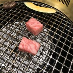 Hidagyu Maruaki User Photo
