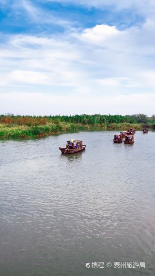 2人起私家團溱湖國家濕地公園溱潼古鎮一日遊泰州揚州南京鎮江上門接送