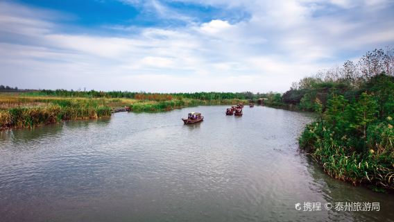 2人起獨立包團溱湖濕地溱溱潼古鎮一日遊泰州揚州南京鎮江上門接送