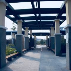 Zhuozhoufuwuqu User Photo