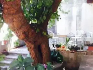 Ristorante Il bacio