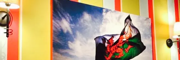 Hungry horse dunvant