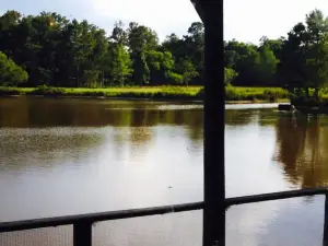Country Cabin Steakhouse