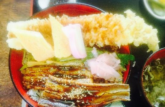 Sazanami