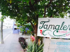 La Palapita de Los Tamales