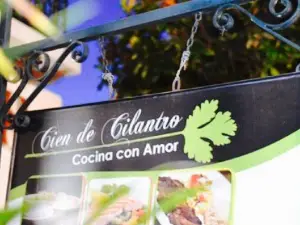 Cien de Cilantro