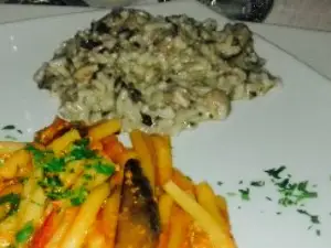 L'ulivo