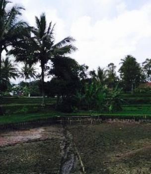 Bio Tirta Saung Botram