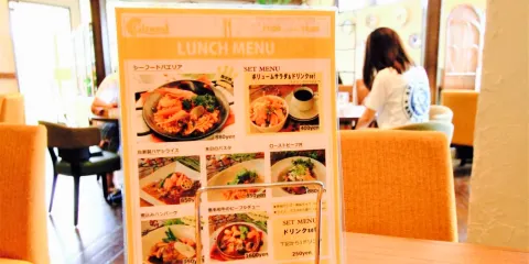 Spanish Cuisine Girasol