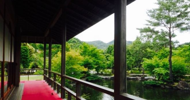 Gyokuro No Sato