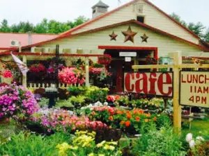 Apple Barrel Store + Cafe
