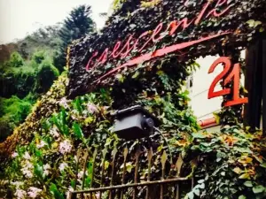 Crescente Gastronomia
