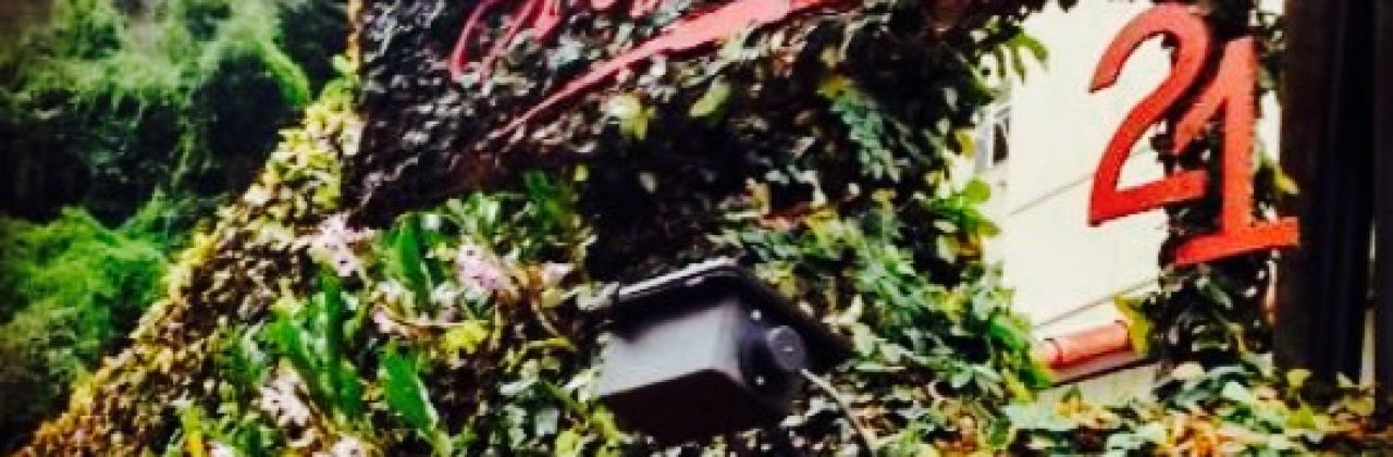 Crescente Gastronomia