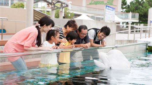 八景島海島樂園