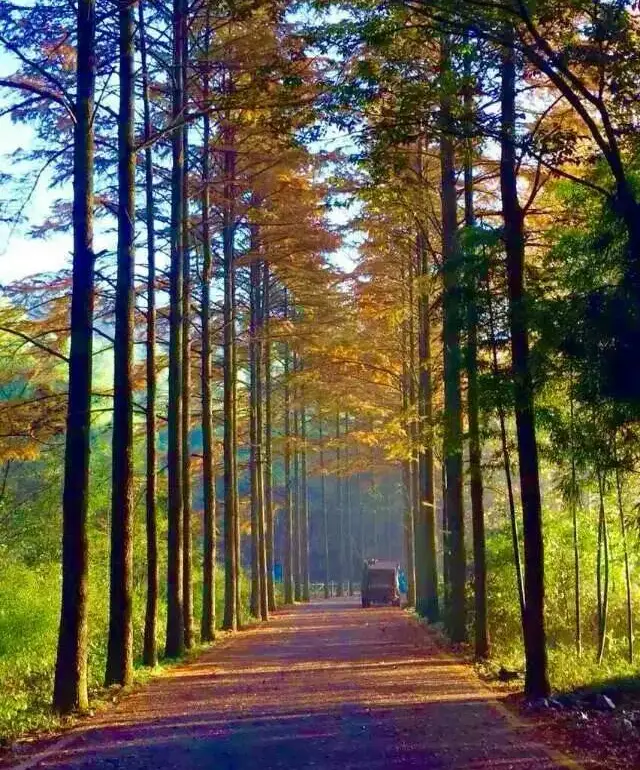Mogan Mountain