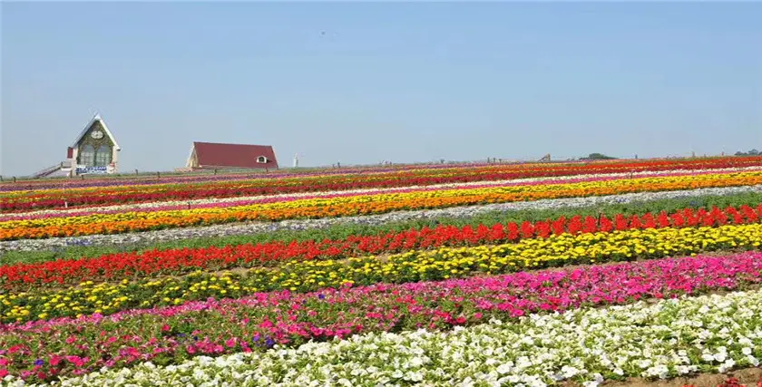 Xuelang Mountain Ecological Park