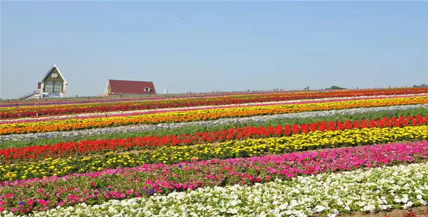 쉐랑산(설랑산) 생태원 주변 호텔