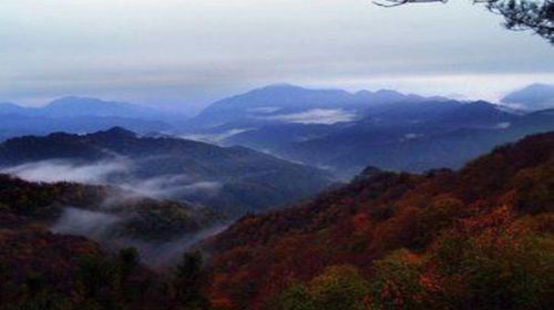 Huangbaiyuan Scenic Area