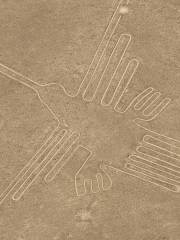 Nazca Lines