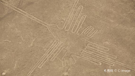 tour di un giorno alle Linee di Nazca da Lima, Perù (vari pacchetto+ biglietto bus di prima classe per Paraca)