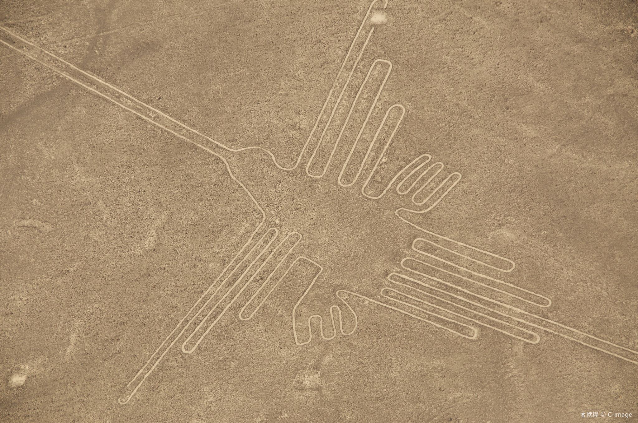 秘魯利馬納斯卡線條一日遊【酒店接送+外星人的傑作納斯大地畫】