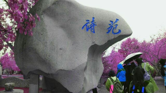 黃河奇石苑
