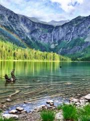 Avalanche Lake Trail