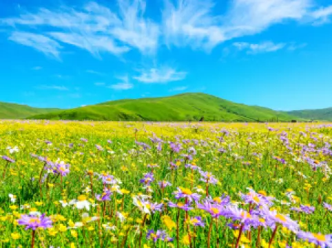 Huahu Eco-Tourism Area