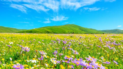 若爾蓋花湖生態旅遊區