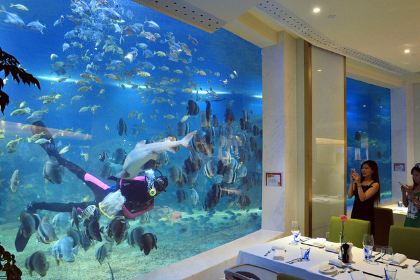 三亚亚龙湾迎宾馆·海洋主题海蓝餐厅