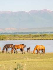 Takesi River