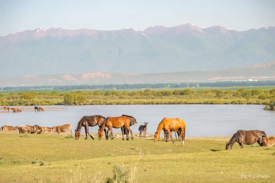 Takesi River