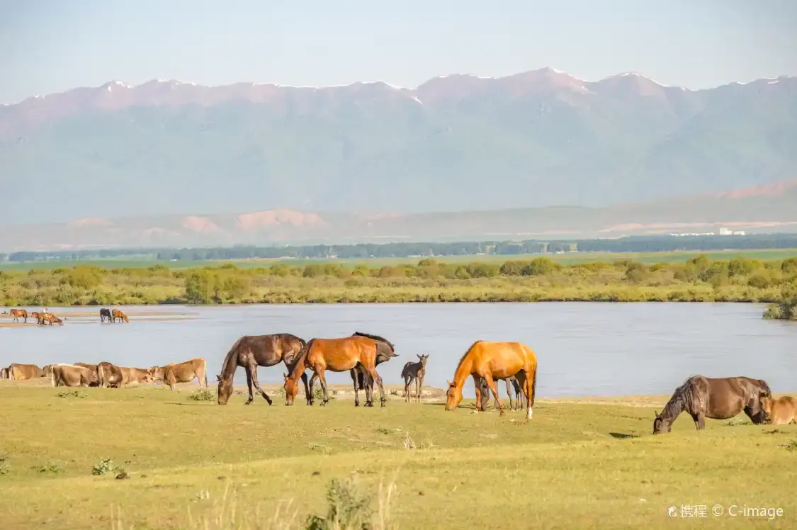 Hotels near Tekes River