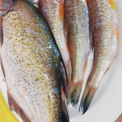 SUI YUAN JIU LOU 여행 사진