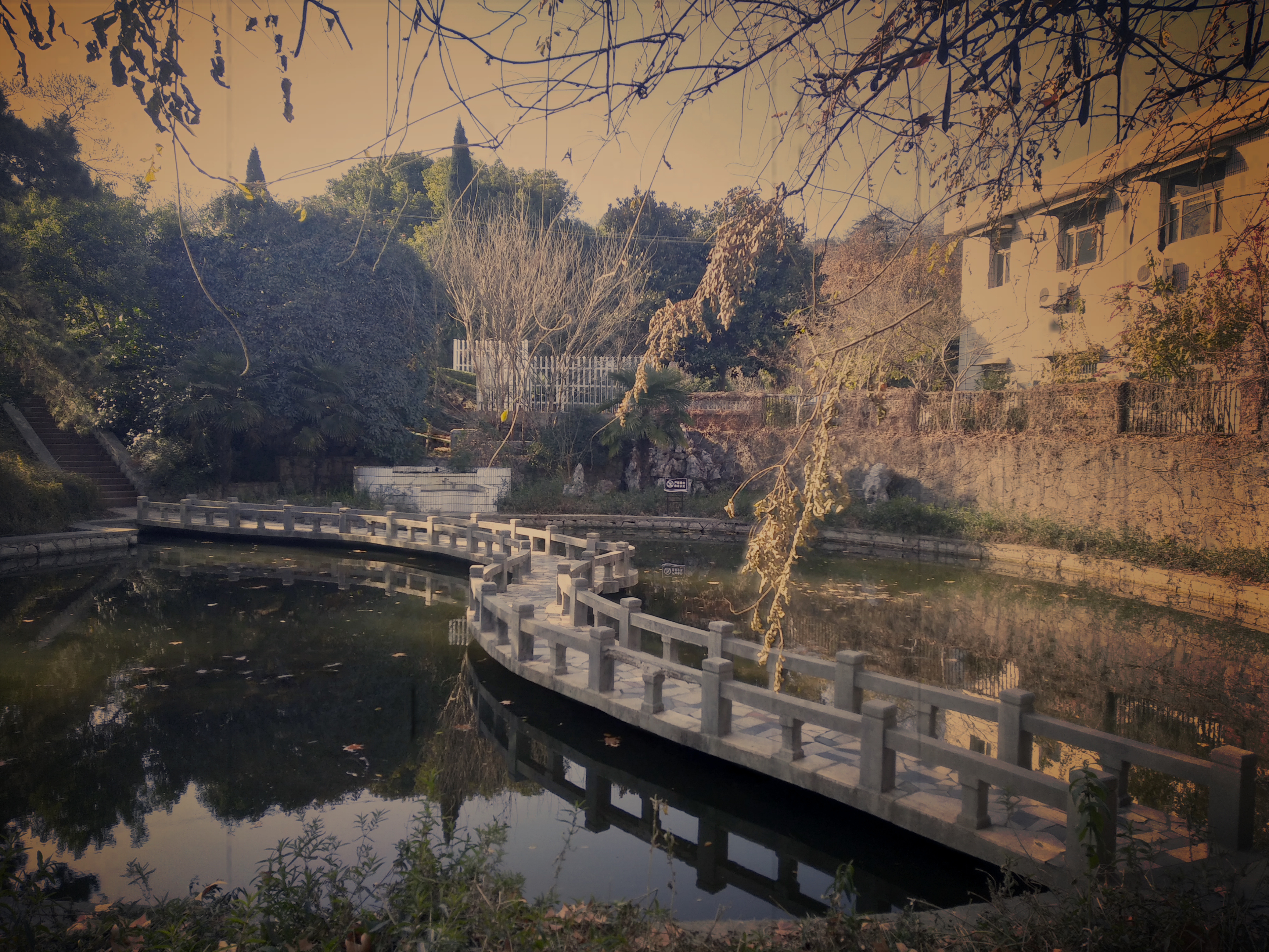 太子山公園旅遊攻略指南 太子山公園評價 太子山公園附近推薦 Trip Com 太子山公園旅遊攻略指南 太子山公園評價 太子山公園附近推薦 Trip Com