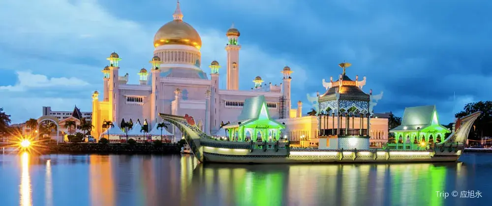 Night Attractions