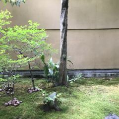 Oimatsu Arashiyama User Photo