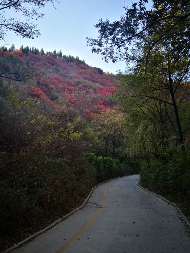 The Tianyuan Valley