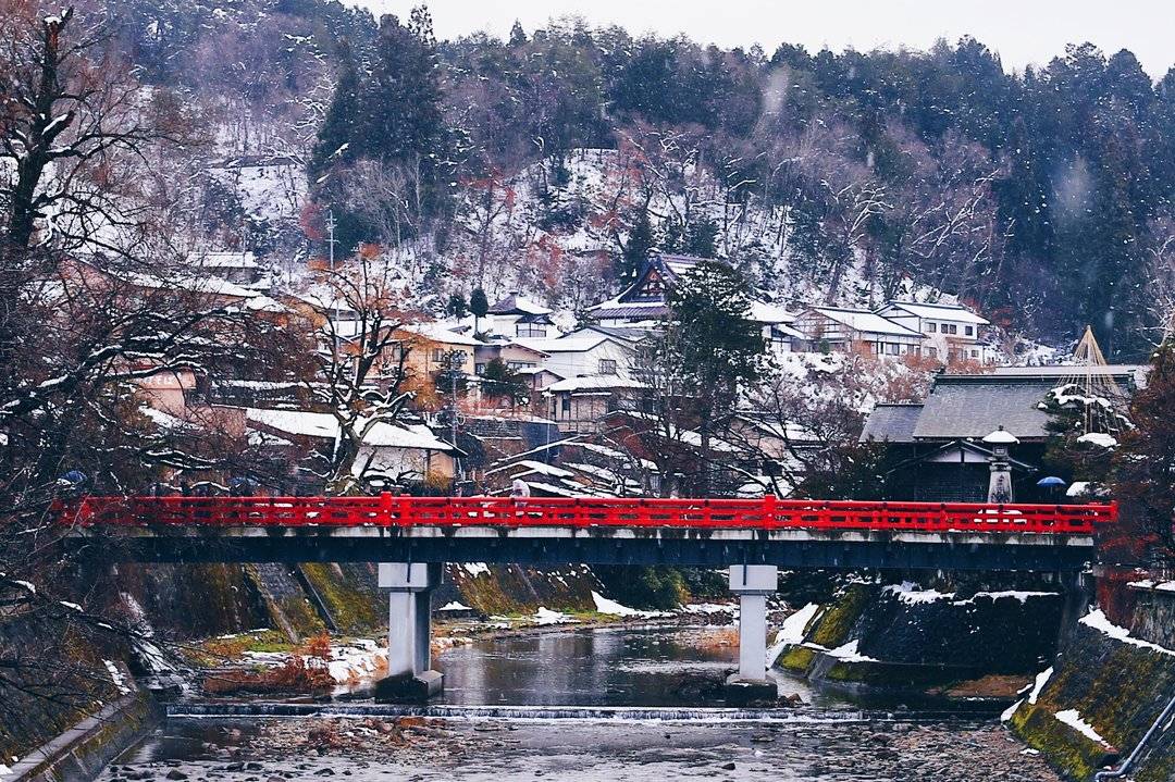 名古屋紅葉 | 7. 高山