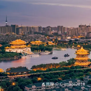Tang Paradise